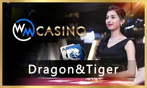 Winning Strategies for Online Casino
